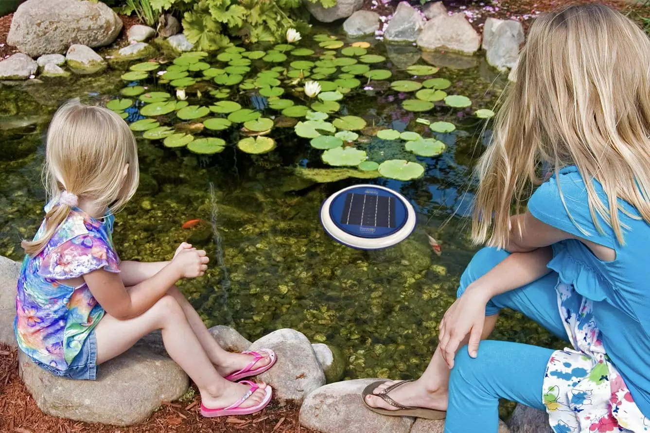 floatron Original Solar Powered Water Purifier/Ionizer - Naturally ...